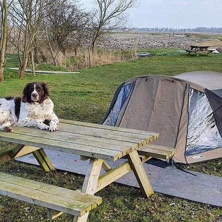 Basic 2P Tent Sotterum Hotel Kornwerd Eksteriør billede