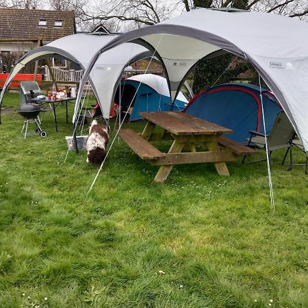 Basic 2P Tent Sotterum Hotel Kornwerd Eksteriør billede