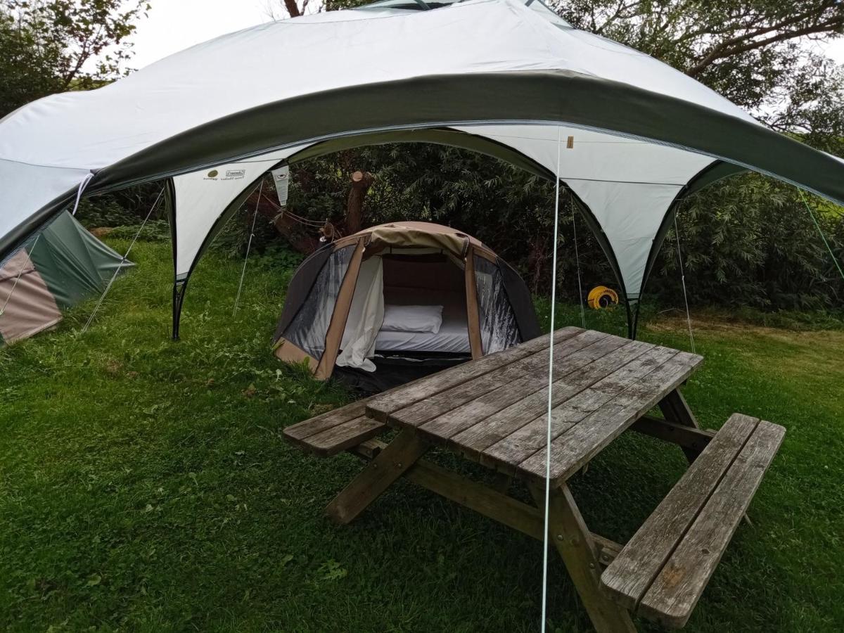 Basic 2P Tent Sotterum Hotel Kornwerd Eksteriør billede