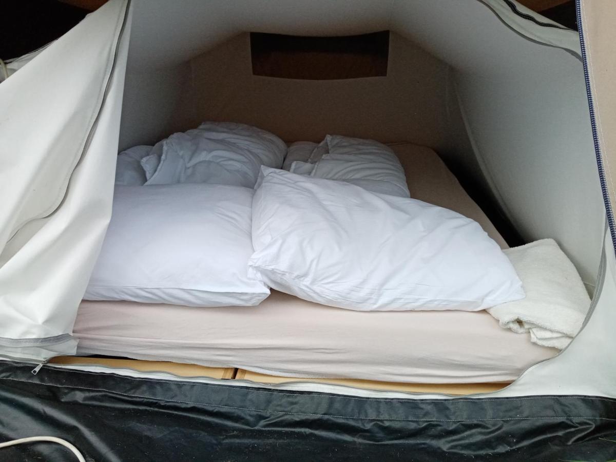 Basic 2P Tent Sotterum Hotel Kornwerd Eksteriør billede
