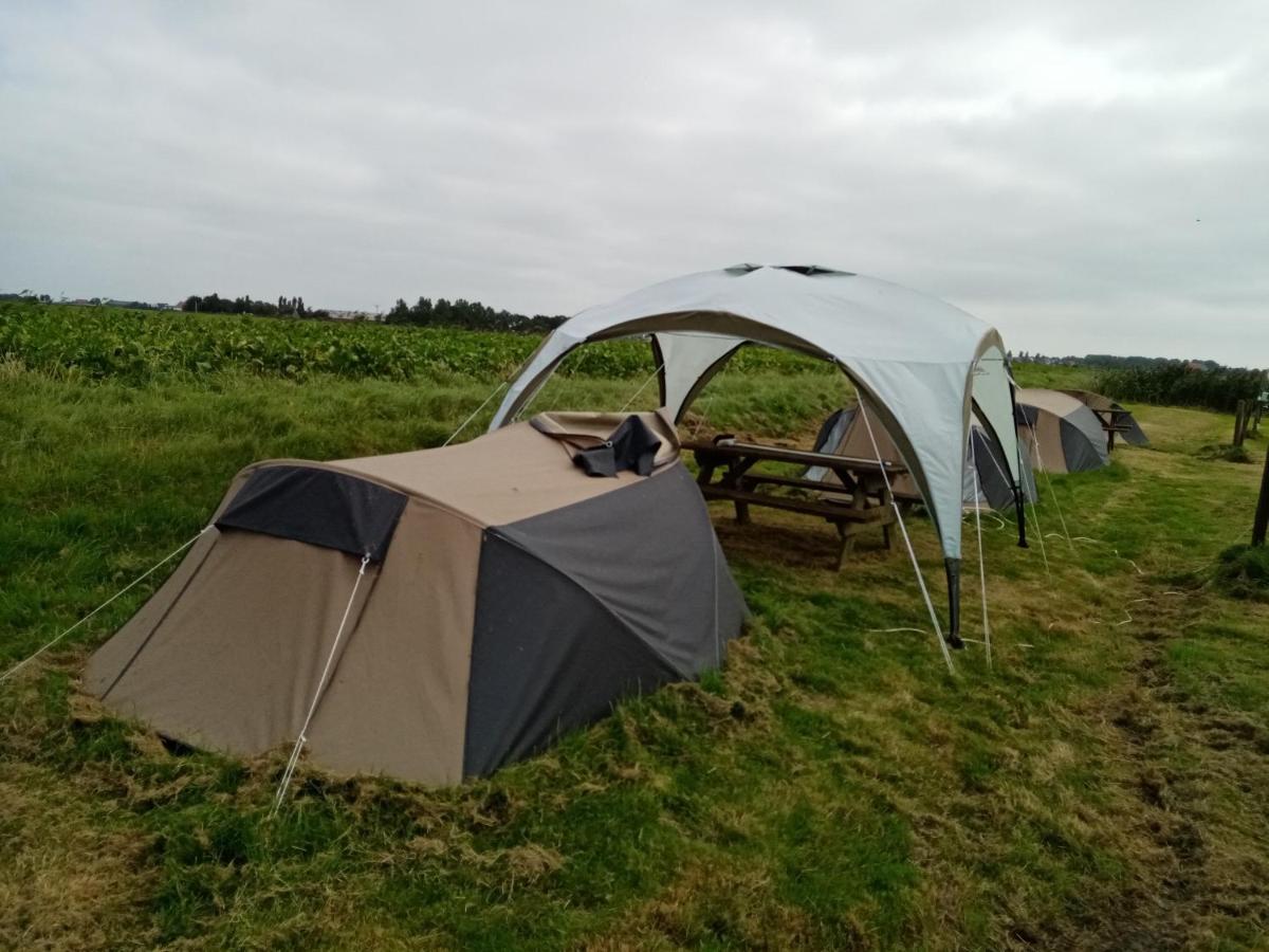 Basic 2P Tent Sotterum Hotel Kornwerd Eksteriør billede